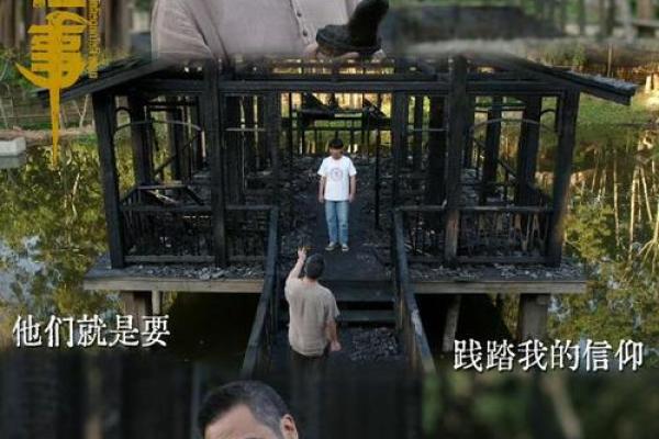 1953年，命运之年：探索生命的多样与奇迹