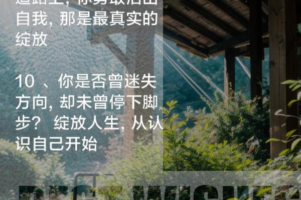 19941028命理解析：探寻您的命运与人生轨迹