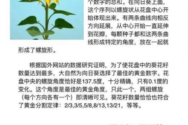 探寻命运的奥秘：用神与命理的深刻关系