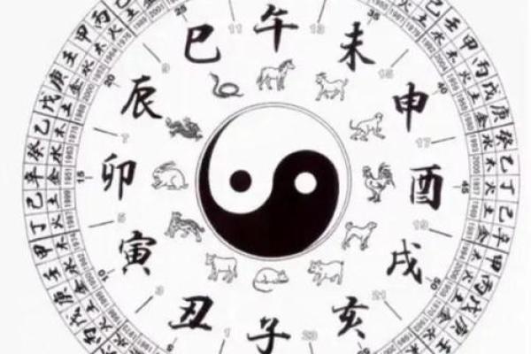1990年属马的命理解析：性格与运势的奥秘