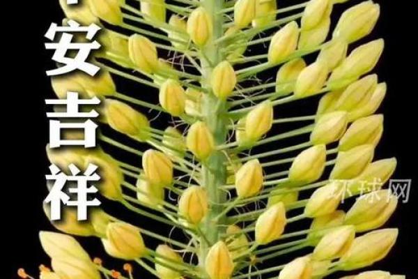 根据命理选择楼层，助您生活如意与安康！