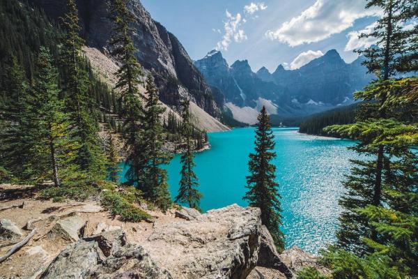 2023年属鼠的命运分析：金命与土命的深度解读