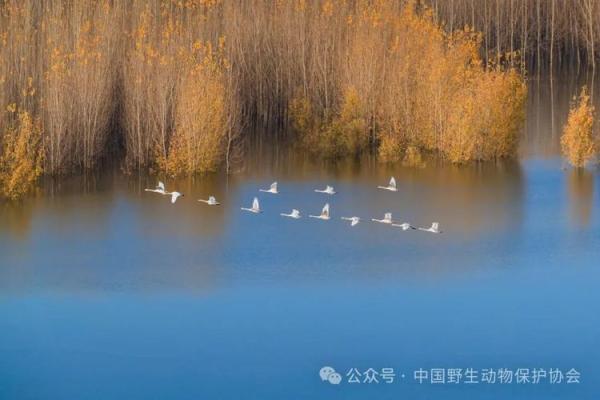 旺水命的女人：细雨轻盈，如水般灵动的生命魅力