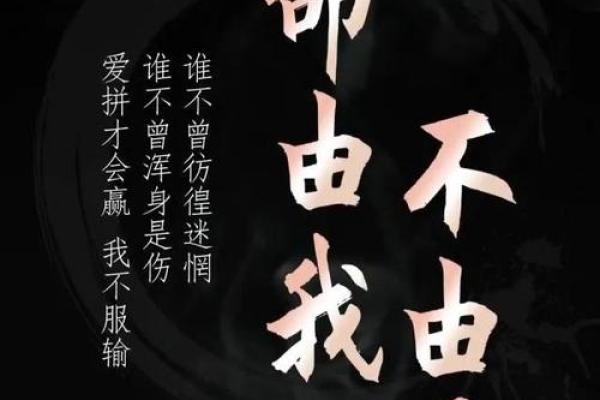 1978年出生的人命运解析：个性与人生轨迹的启示