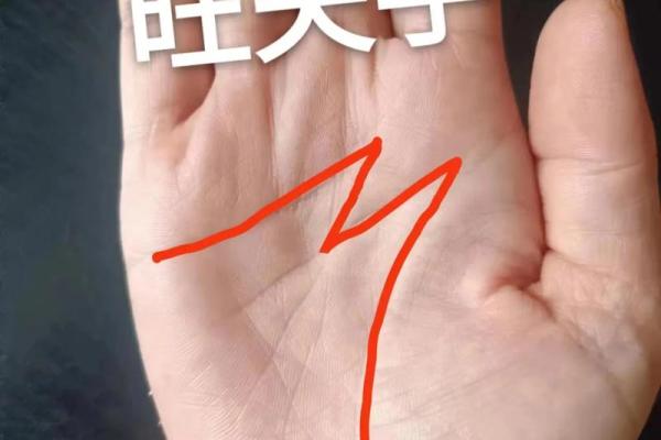 1987年出生的人命运详解：财富与爱情的双重追求