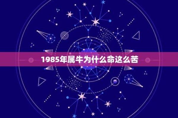 木命女性与哪种命男性最合拍？探讨命理中的最佳配对！