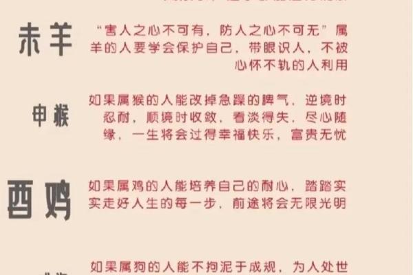 命理学中的属相奥秘：揭开十二生肖的神秘面纱