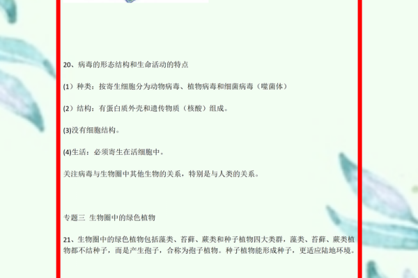2005年出生的鸡命运与性格解析：揭示生命的奥秘