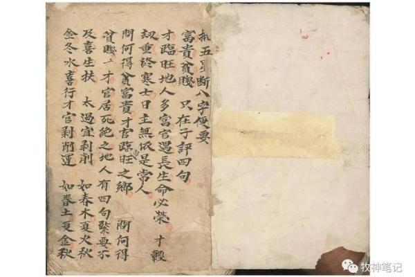 99年出生的命运解析：探索命理与人生轨迹的奥秘