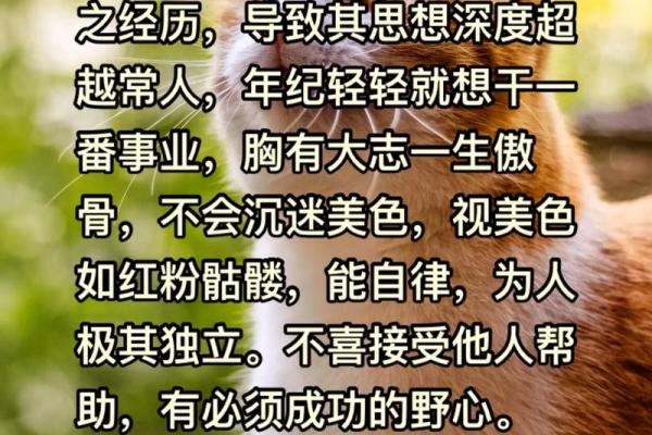 98年属虎人八字命硬解析：揭秘不凡命格的背后故事