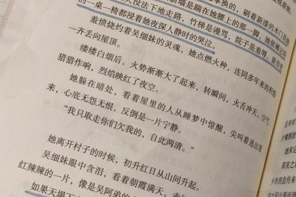 探索11年命理：神秘的命格与人生轨迹