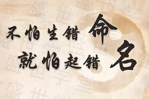 探索11年命理：神秘的命格与人生轨迹