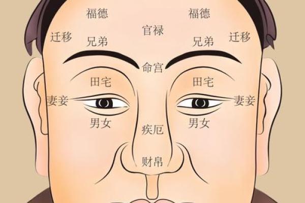 探寻命理中的迁宅智慧：田宅之意与生活启示