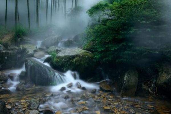 解读涧下水命：流动与契机的生命哲学