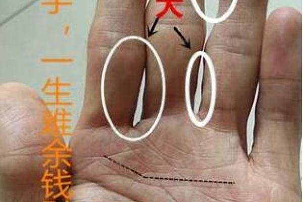 发财命与富豪命的深刻区别：探寻财富背后的奥秘与智慧