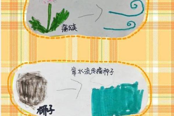 农历生日与命运的奥秘：探寻你生命的密码