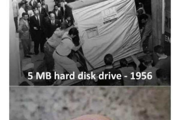 探索1956年出生的人生道路：命运与性格的奇妙结合