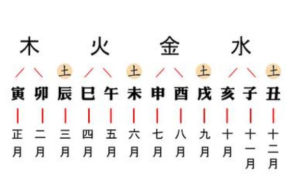 探寻五行之谜：木命与火命的奥秘与关系