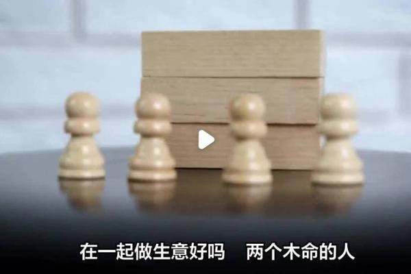 木命与生意的最佳搭档：哪些五行命最能助力成功？