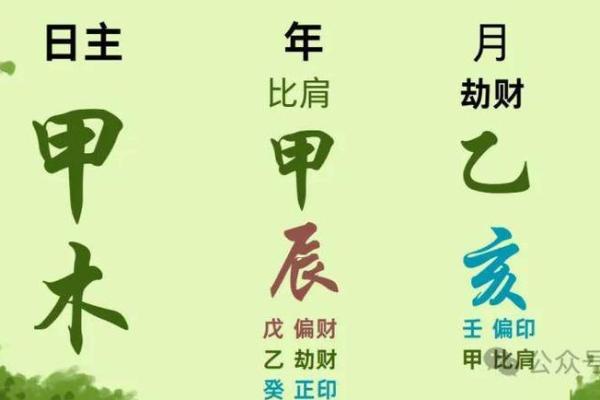 木羊命的幸运颜色：如何运用色彩提升运势与生活品质