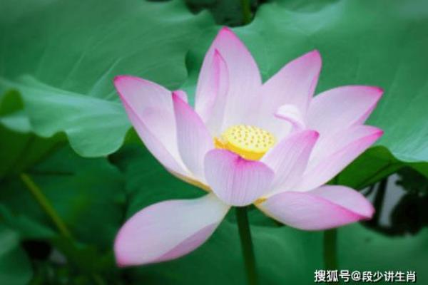 金命人供奉财神的秘诀与智慧，开启财富之门的指南