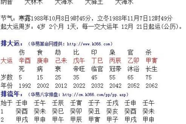 壬戌癸亥命理解析：灵动人生与成功的秘诀探讨