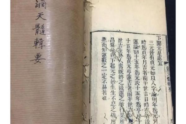 探秘命理：揭示人的十二条命究竟是什么命！