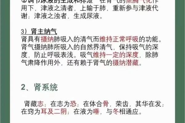 83年出生的人命理解析：五行属性与人生方向
