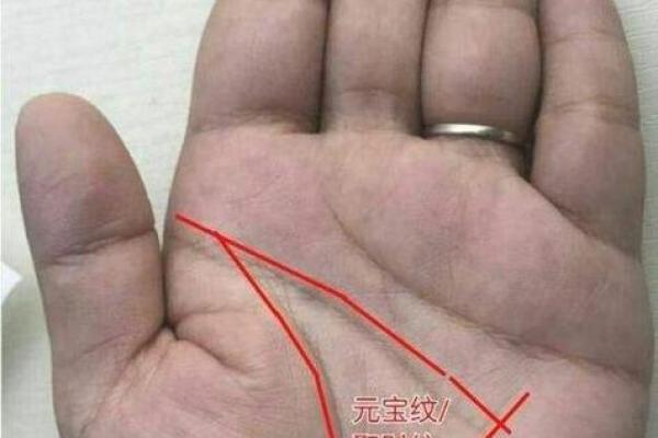 命相相结合：解读手相与命运的千丝万缕联系