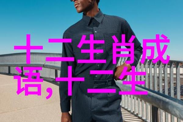 命运的指引：成语背后的哲理与智慧