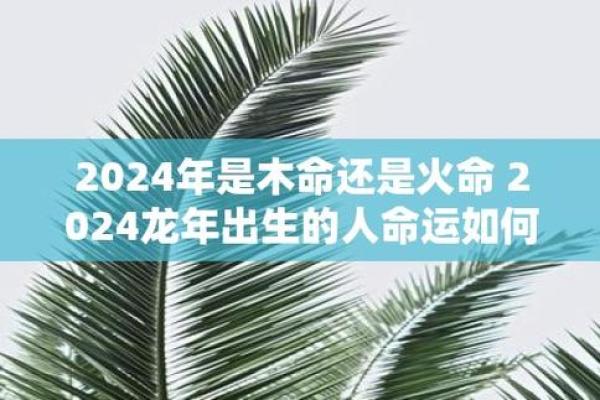 2014年：木命之年的运势与生活指南