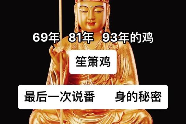 如何理解93鸡年命理：探索2017年的运势与机遇