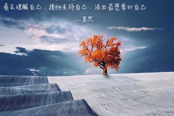 2019：命运的转折与自我重塑的年份
