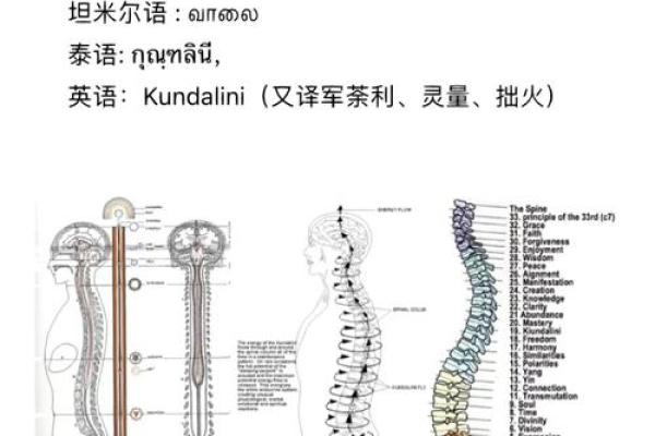 根据什么命什么悬成语大全:潜藏于语言中的智慧与趣味 根据什么命什么悬成语大全:潜藏于语言中的智慧与趣味