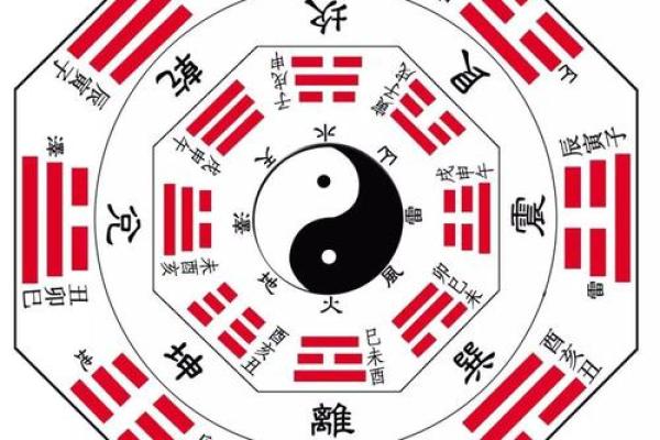 为什么没有南四命北四命？探讨命理背后的深层原因