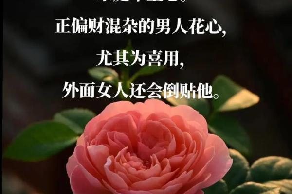 1975年出生者的命理分析与人生机遇