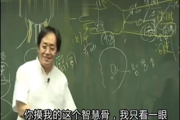 命运与成语的魅力：探索命由己造的智慧之道