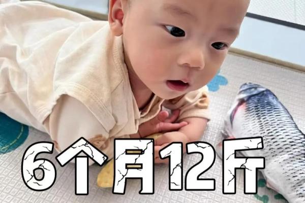 2017年9月3日出生的宝宝：命运与性格大解析！