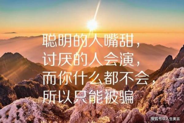 摇尾乞怜的背后，流露出的是深刻的情感与执着
