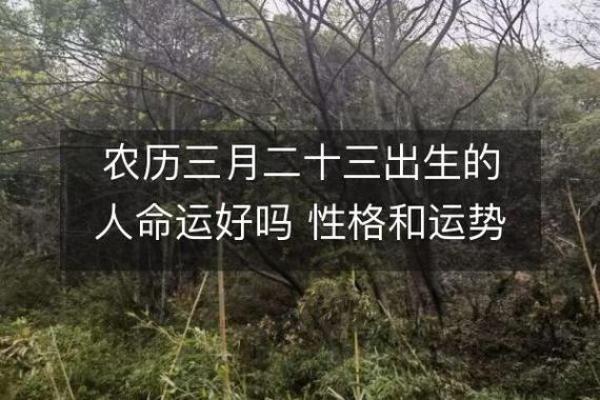 19950413出生的人，命运与性格的独特解析
