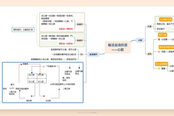 探寻脑命心有痣的秘密：揭示人生方向与性格特征