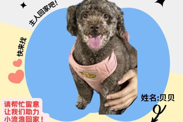 1995年8月10日出生的人：命运与性格的深度解读