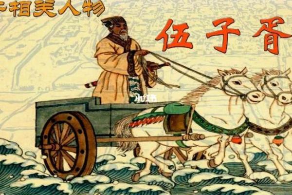 解析19940418：命运背后的秘密与人生哲学