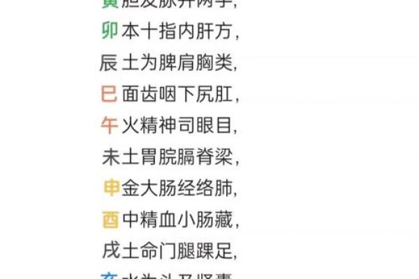 72年出生的人属什么命：水命还是木命？解读天干地支与命理之美