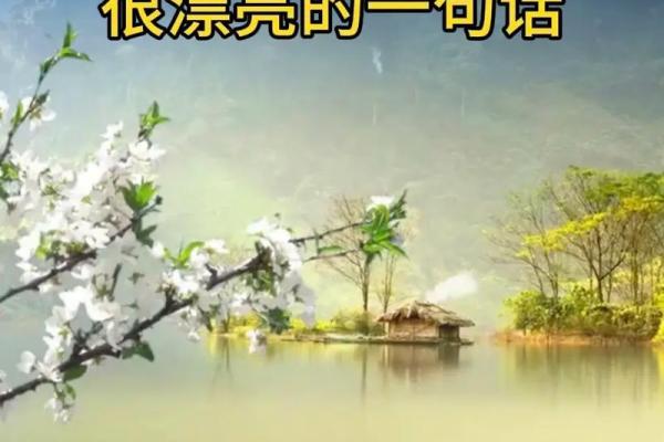 探秘19940314的命运轨迹：命理与人生的深度交融