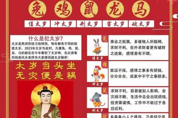 2023年鸡年运势解读：谁是风头最劲的人物？
