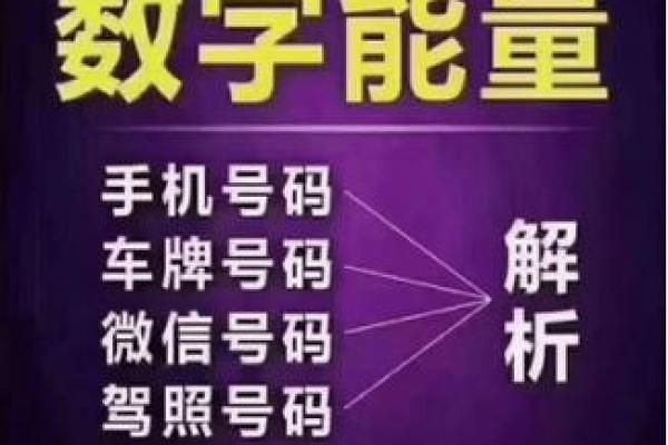 19841115出生的人生轨迹与命运探秘