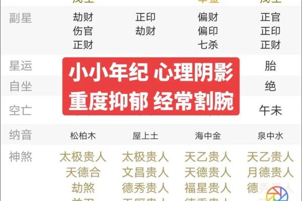 探索2002属鸡的命运与人生——解读命理之美与智慧