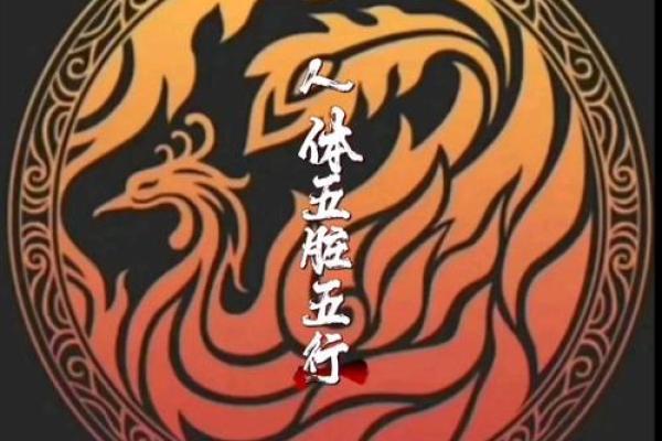 1988年出生的男性命运分析：探索五行与性格的奥秘