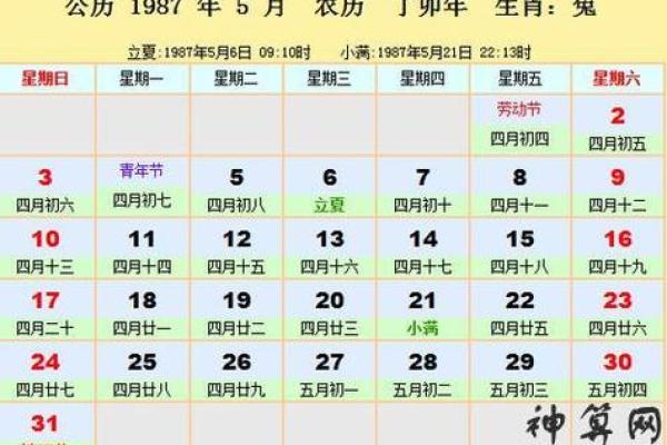 癸巳之命：当五行相遇，人生的坎坷与机遇如何把握？
